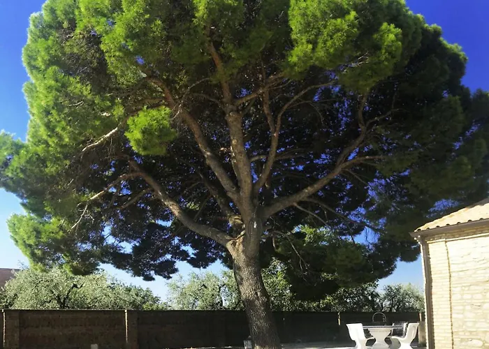 Hotel con vista: Le Tre Lune B&B